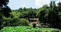 長沙出發(fā)到花明樓、韶山、張家界國家森林公園、天門仙山國家森林公園四日游
