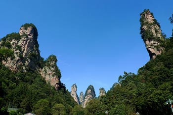 張家界國(guó)家森林公園、黃龍洞、天門山、鳳凰古城純玩五日游
